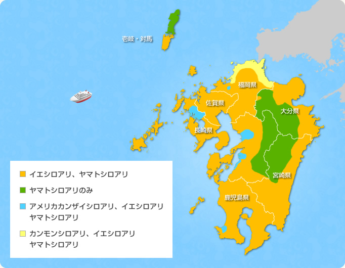 九州地区の種類と分布